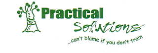 practicalsolutions.co.za